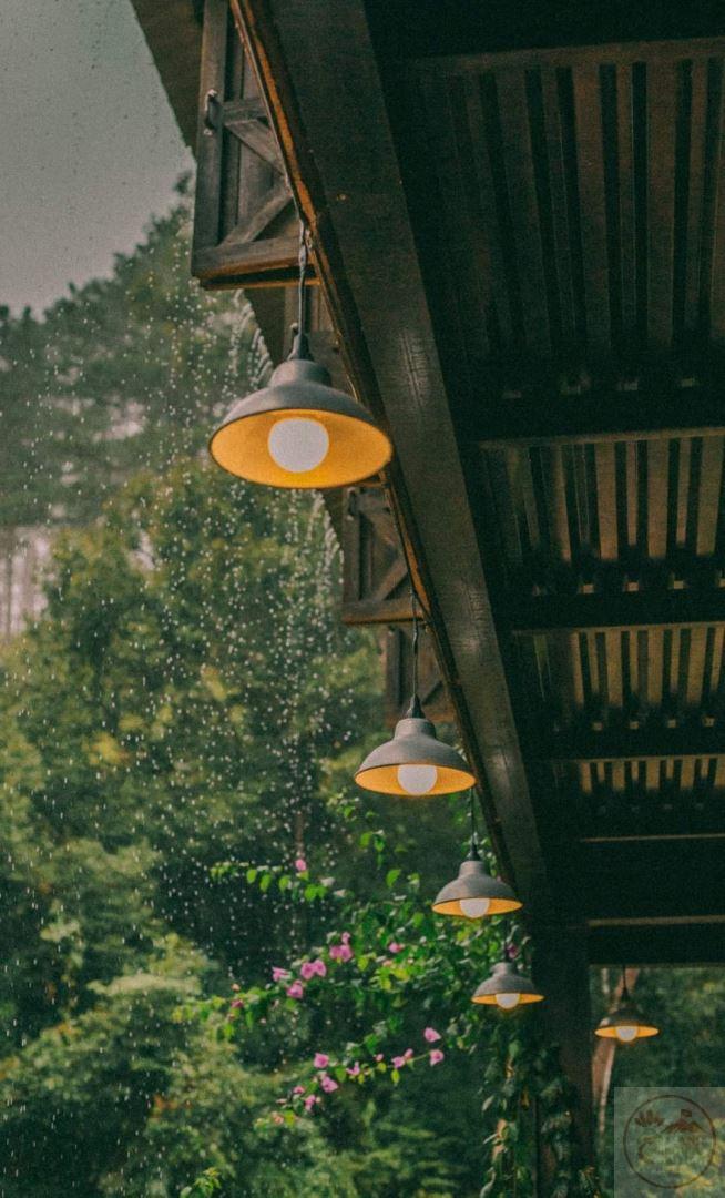 Nỗi nhớ dịu dàng thoáng qua như một giai điệu quen thuộc của tâm hồn