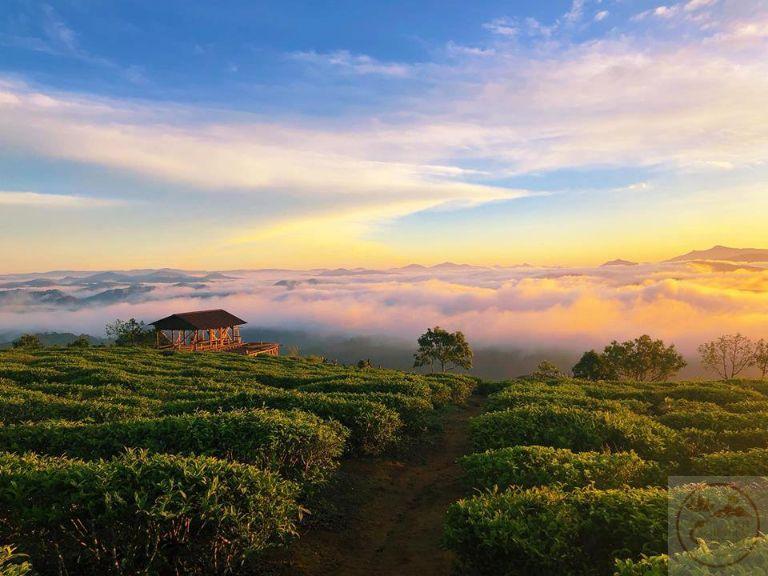 Khoảnh khắc trong trẻo đưa tâm hồn tìm về sự an nhiên cần thiết