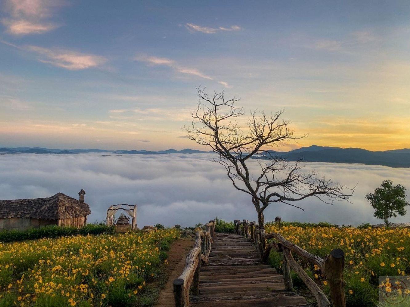 Ảnh Đà Lạt săn mây