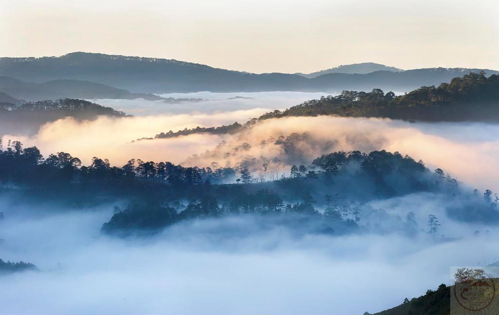 Cảm hứng chan chứa khiến người ta thấy cân bằng giữa đời sống