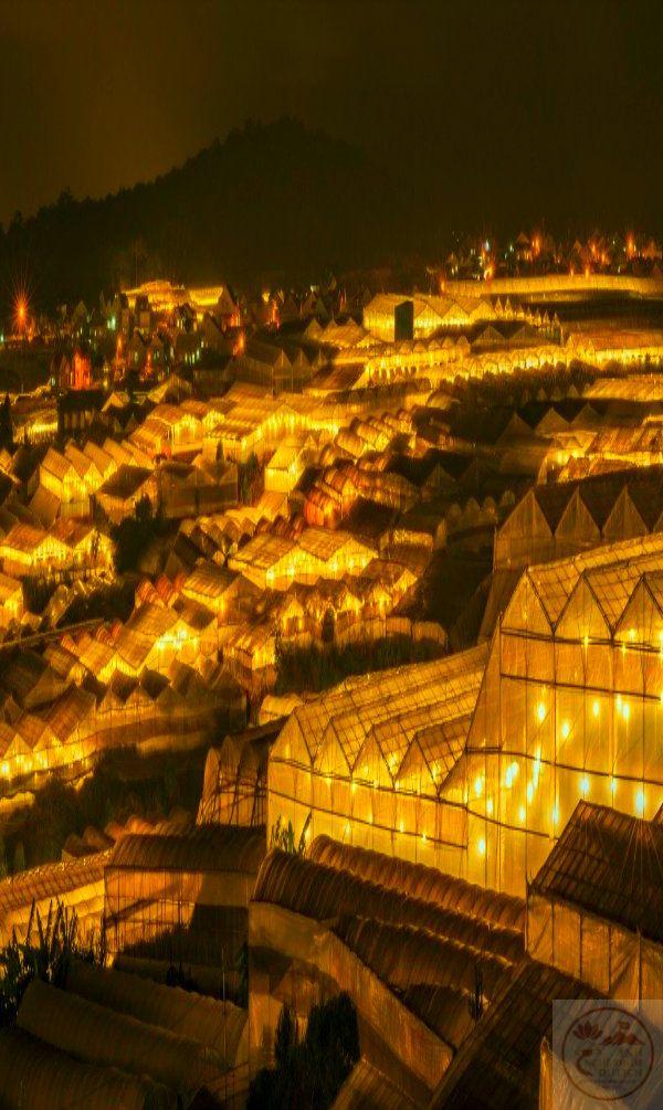 Niềm tin thanh bình giúp ta buông bỏ muộn phiền một cách tự nhiên