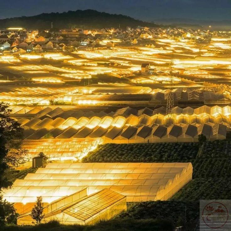 Ánh nhìn hiền hòa gợi cảm giác gần gũi và đầy ấm áp nội tâm