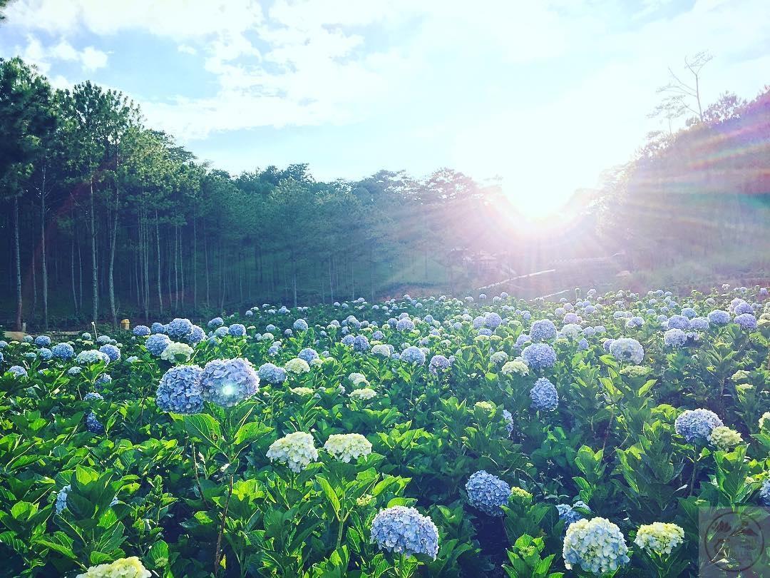 Bầu không khí thanh bình khơi gợi sự thư giãn nhẹ nhàng trong nội tâm