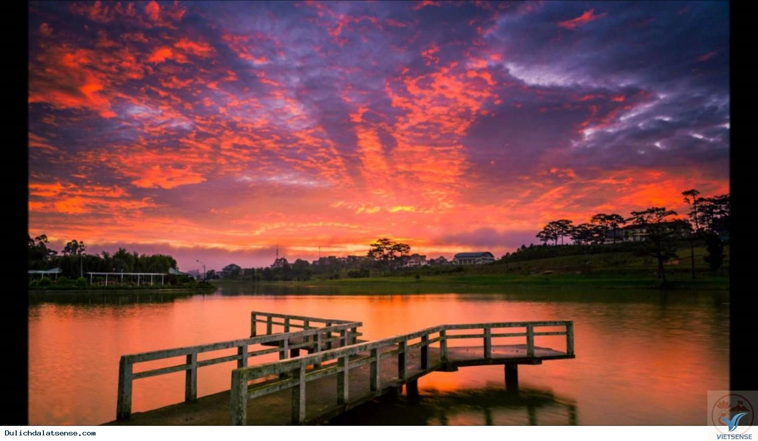 Cảm hứng hiền hòa giúp người xem tìm lại sự cân bằng thật quý giá