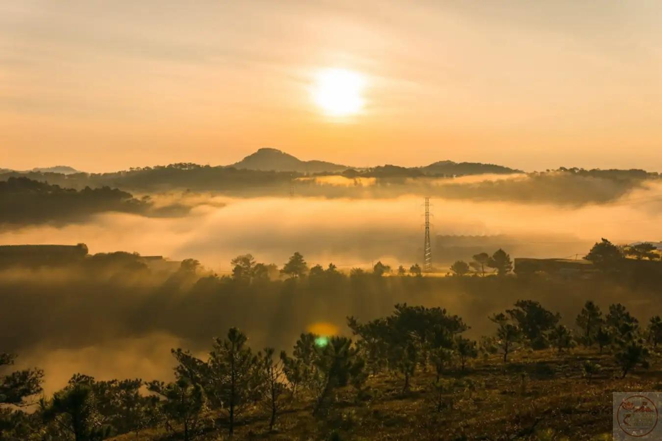 Khoảnh khắc dịu dàng làm tâm trí cảm thấy an nhiên hơn bao giờ hết