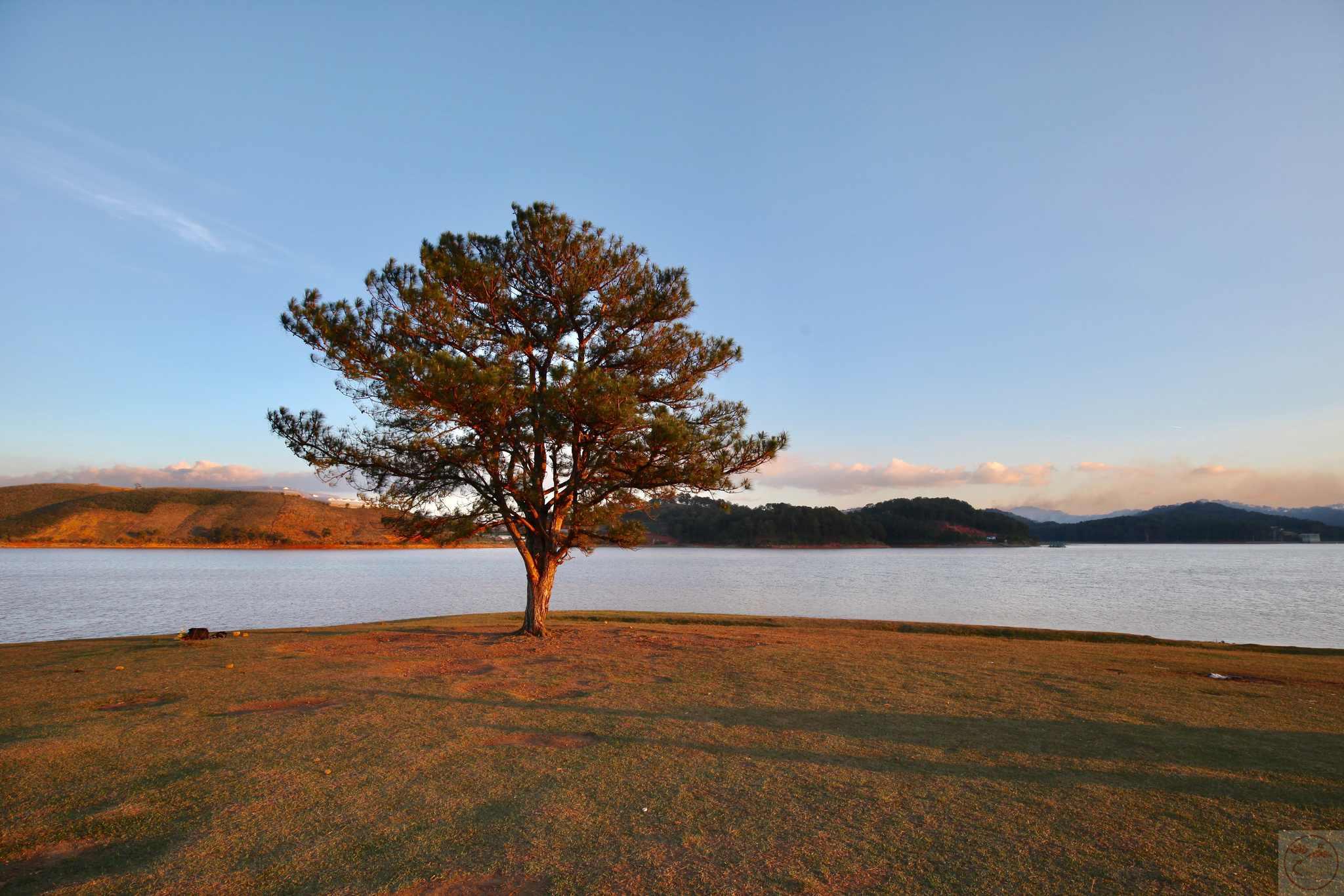 Ảnh Đà Lạt đẹp nhất