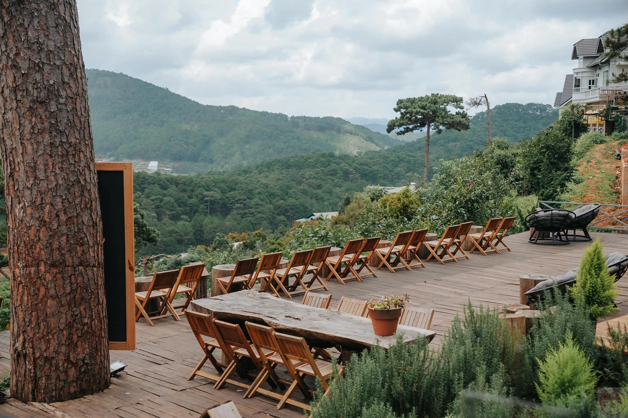 Khoảnh khắc tĩnh lặng gợi mở sự bình yên chan hòa trong tâm hồn