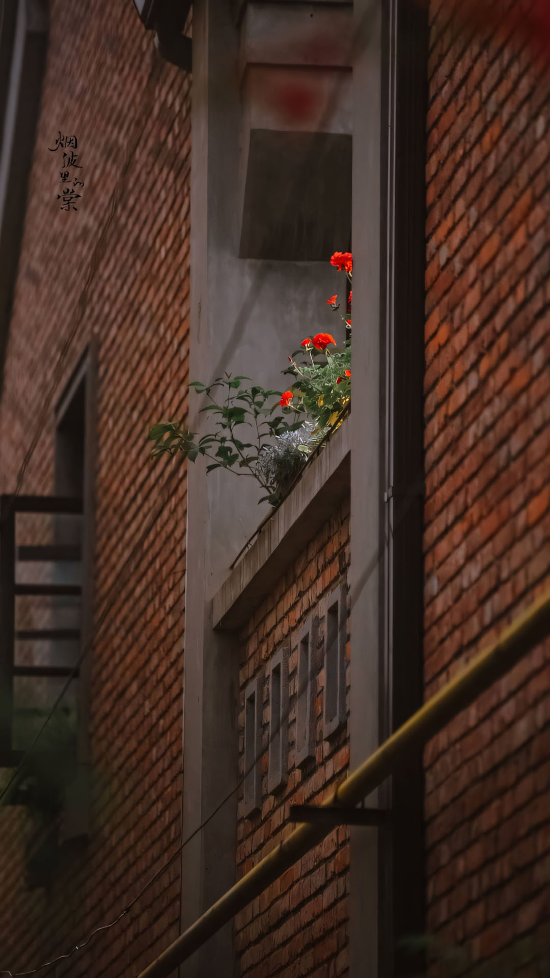 toa nha gach do trong nang chieu hoai niem 1920px 1080px full hd