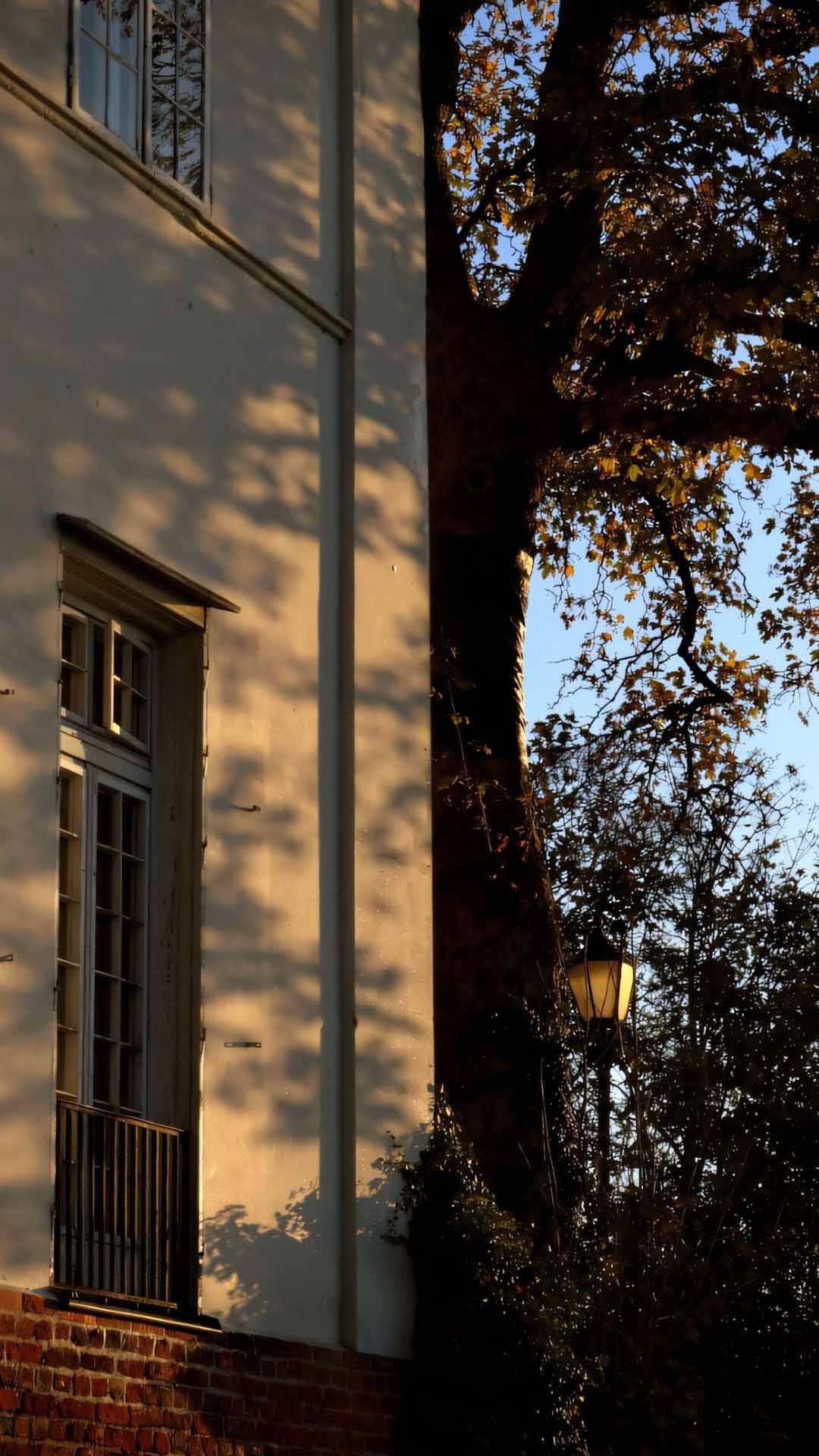 tan la vang roi ben con hem nho yen tinh 1920px 1080px full hd