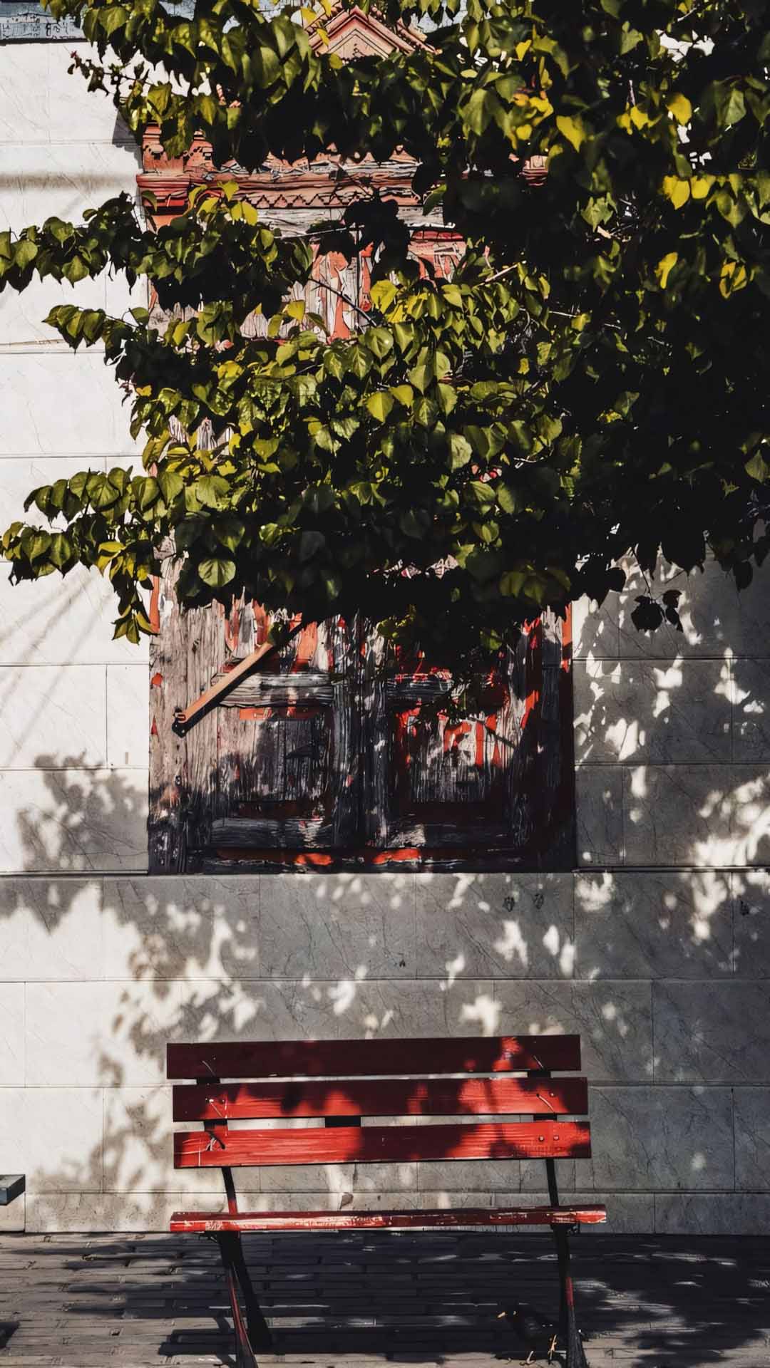 hang ghe do duoi bong cay trong trai lang le 1920px 1080px full hd