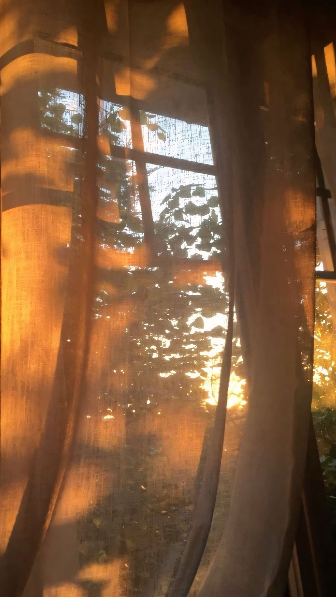 rem mong nang chieu hat diu dang 1920px 1080px full hd