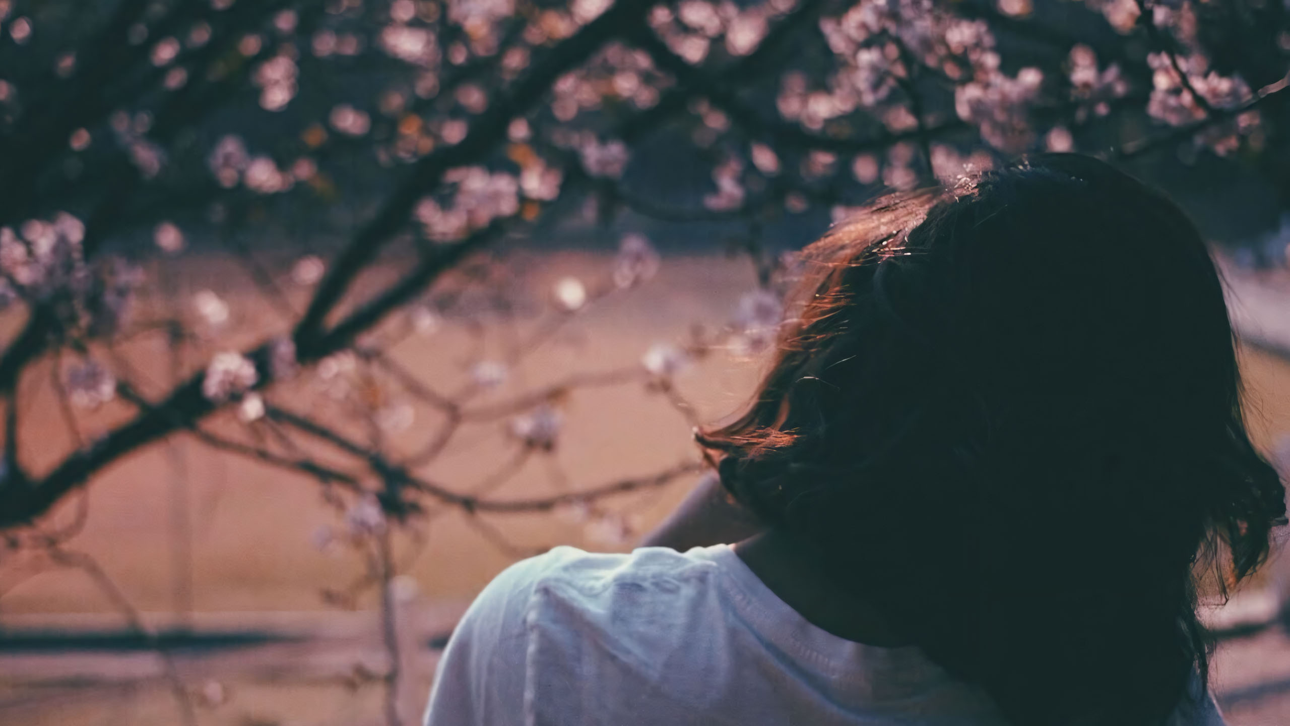 co gai duoi tan hoa nhin xa xam noi buon man mac 2560px 1440px 2k