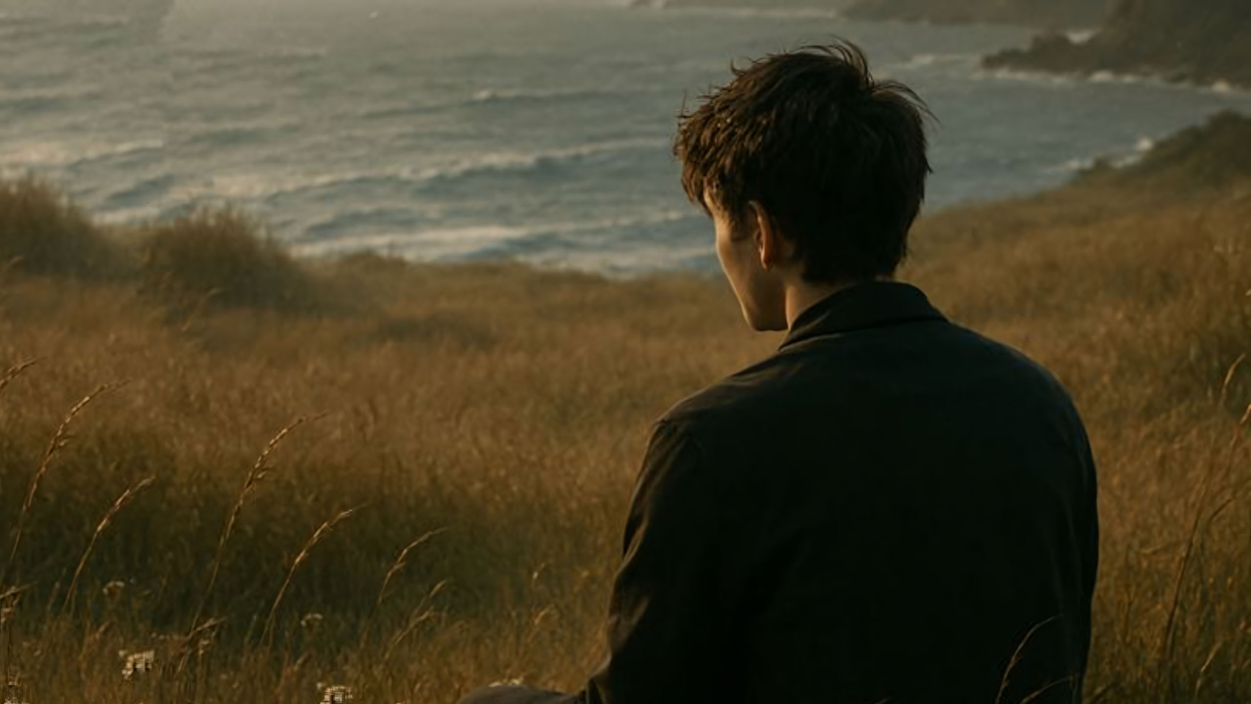 chang trai giua dong co anh hoang hon long hoang hoai 2560px 1440px 2k