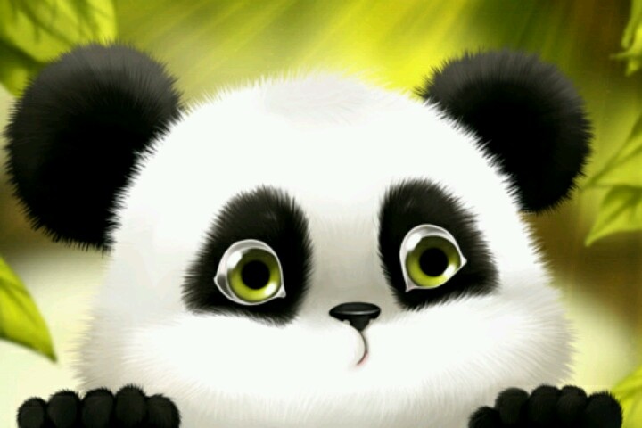 hình ảnh gấu trúc 3d