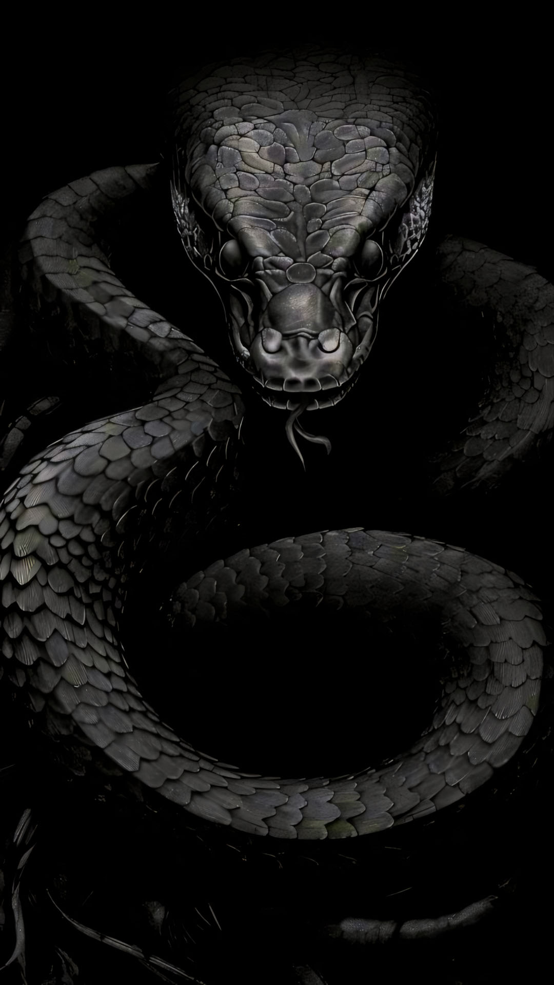 hinh nen co don 1920px 1080px full hd 7