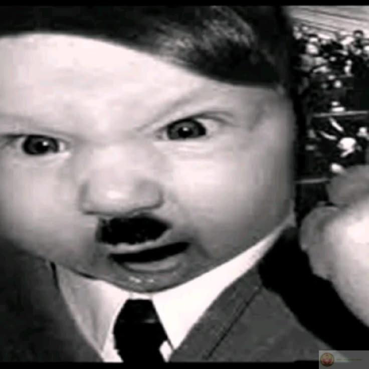 Meme Hitler
