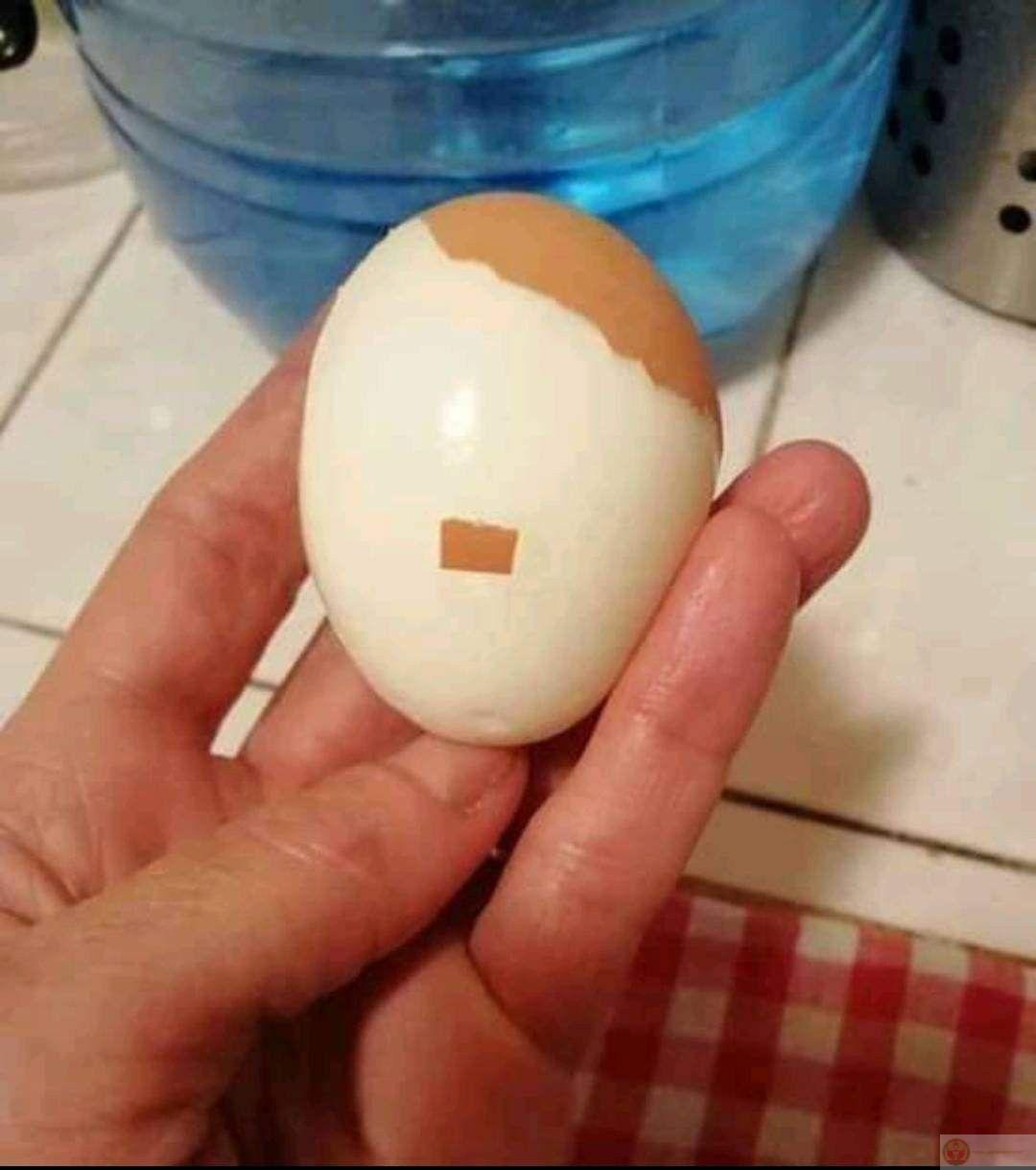 Ai cũng dễ dàng bật cười khi bắt gặp Hitler meme trong dòng tin tức hằng ngày