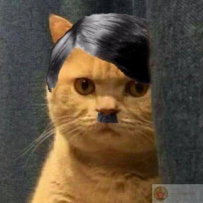 Hitler meme là nguồn cảm hứng hài hước cho những ai thích chế ảnh online