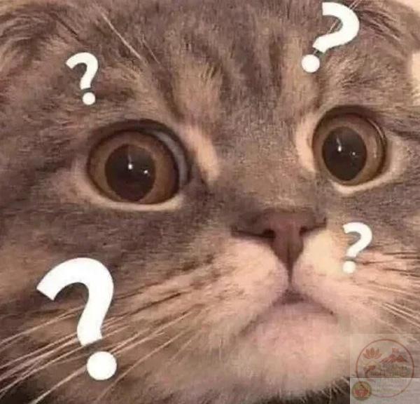 Meme dấu hỏi vui nhộn