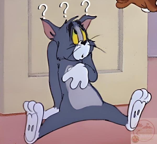 Meme câu hỏi thú vị