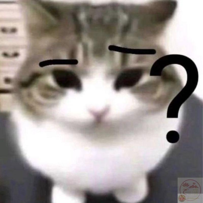 meme hỏi