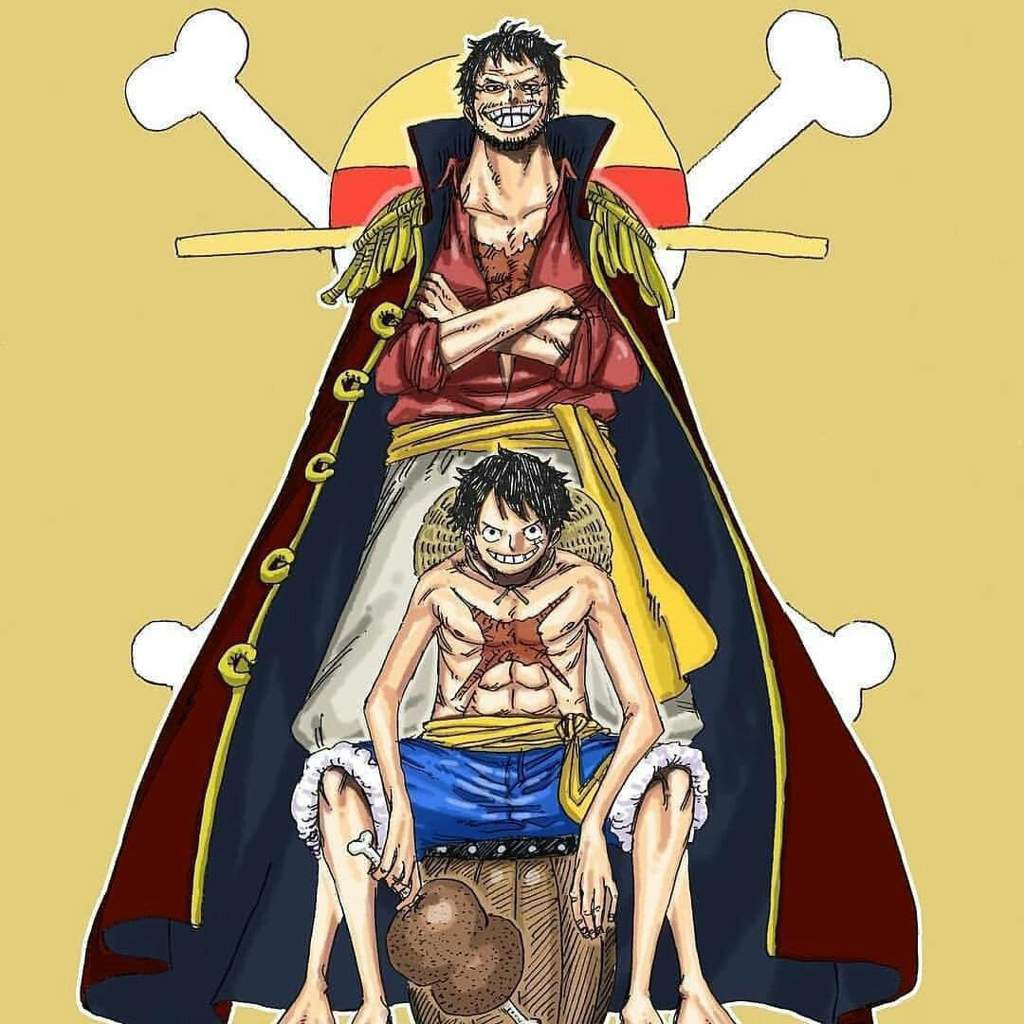 Hinh Anh Luffy Luc Tre Luc Gia Cuc Ngau