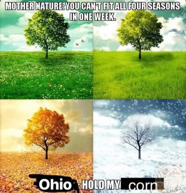 Sự hài hước này đã giúp nội dung trở thành điểm nhấn trong nhiều diễn đàn