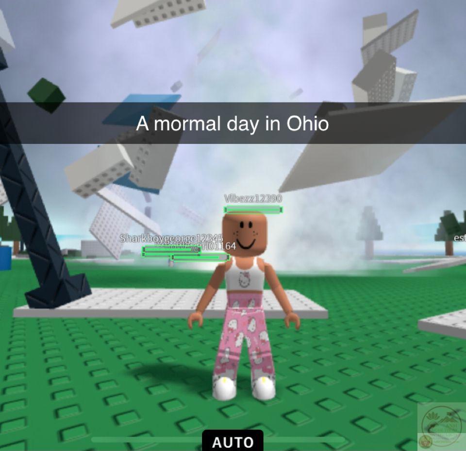 Tính chất hài hước của ảnh chế giúp người xem dễ dàng chia sẻ cùng bạn bè