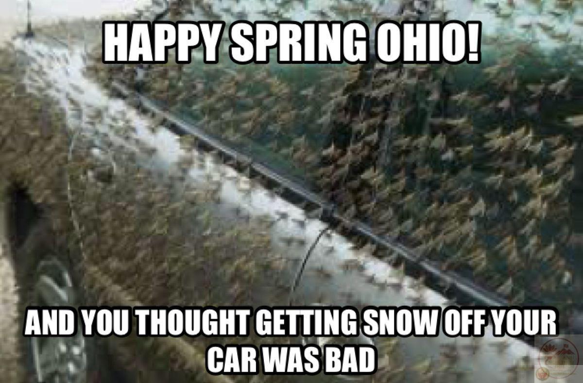 Nội dung này đã trở thành chất xúc tác cho những tiếng cười sảng khoái