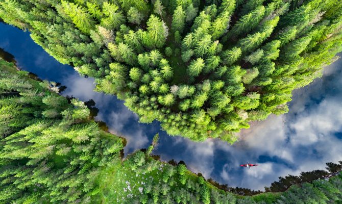 Chụp ảnh mùa xuân