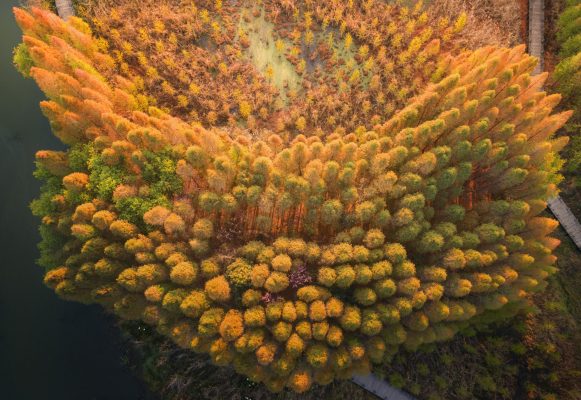 Mùa xuân ở Côn Minh