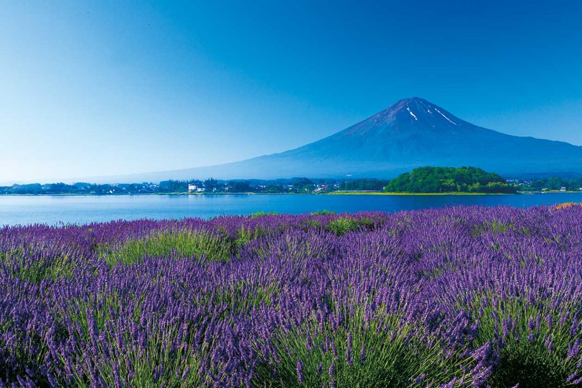 Chụp ảnh núi Phú Sĩ ở đâu đẹp? Tổng hợp "view triệu đô" cho tín đồ sống ảo