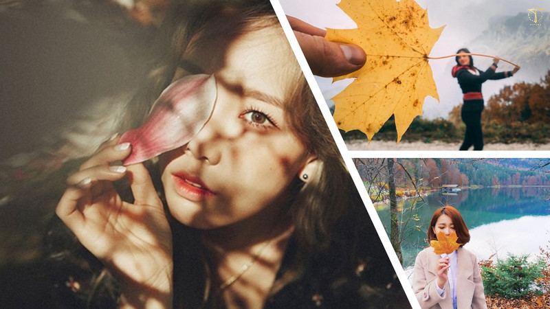 Chụp ảnh cùng lá cây