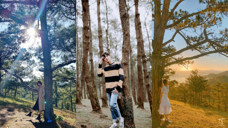 Chụp ảnh đón nắng