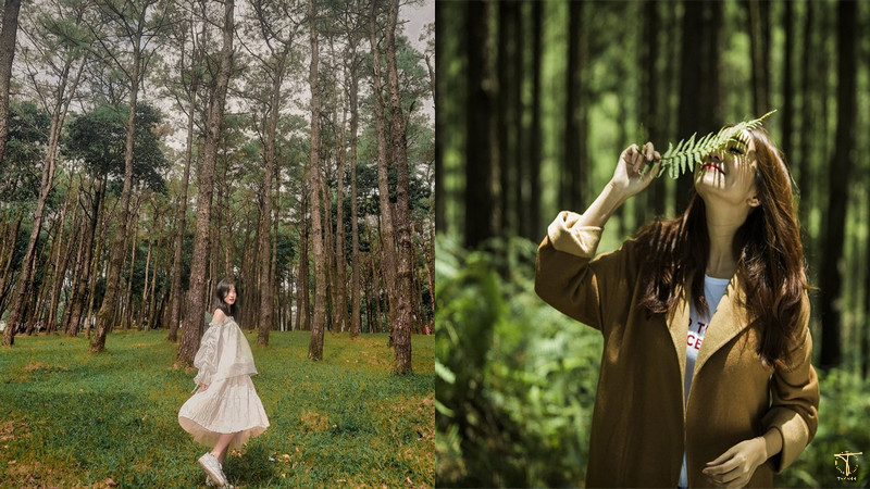 Chụp ảnh dáng hòa hợp với thiên nhiên