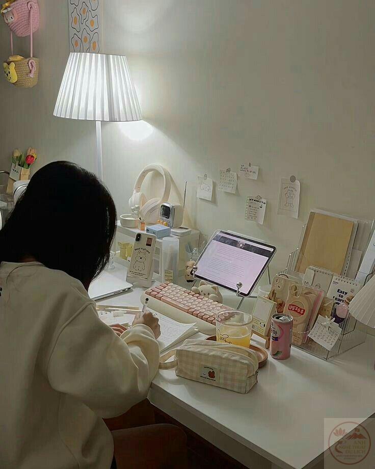 Ảnh học tập chill Pinterest