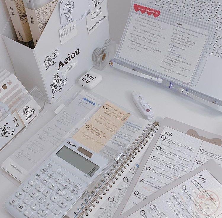 Hình ảnh sách vở gọn gàng luôn mang lại năng lượng tích cực cho tâm trạng người học