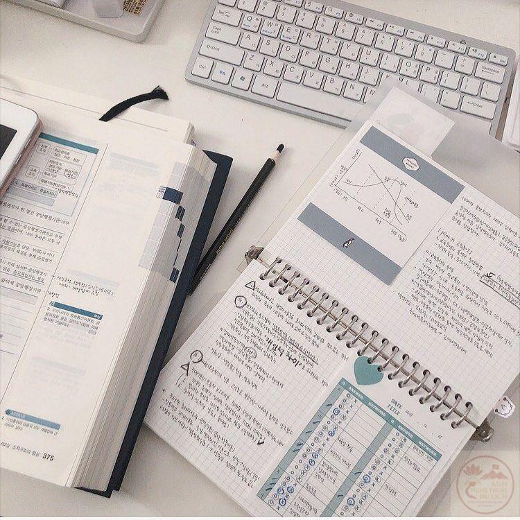 Ánh sáng dịu nhẹ chiếu xuống trang giấy khiến khung cảnh trở nên tinh tế hơn nhiều