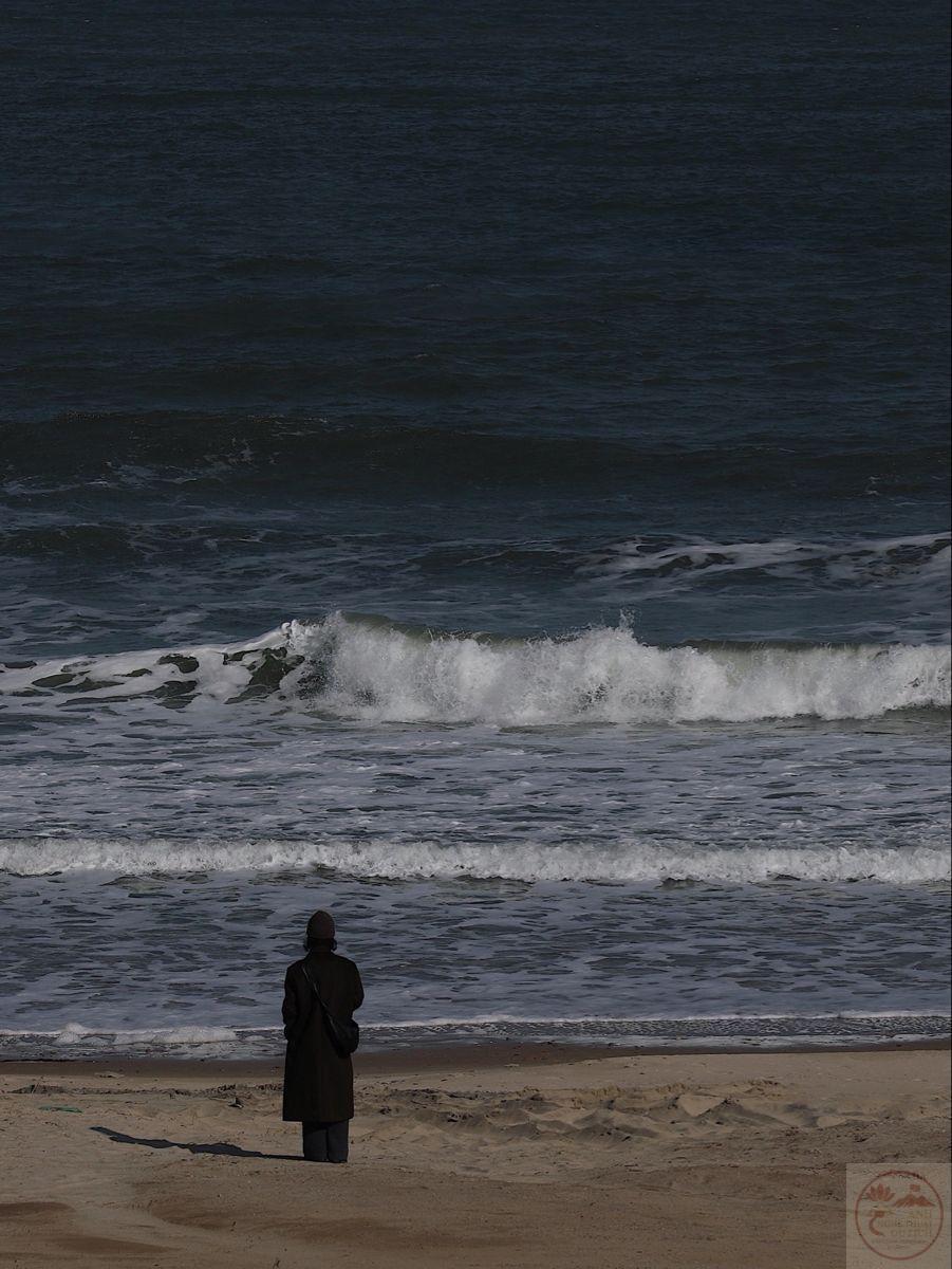 Cảm hứng trầm mặc khiến tinh thần chậm lại để suy tư nhiều hơn