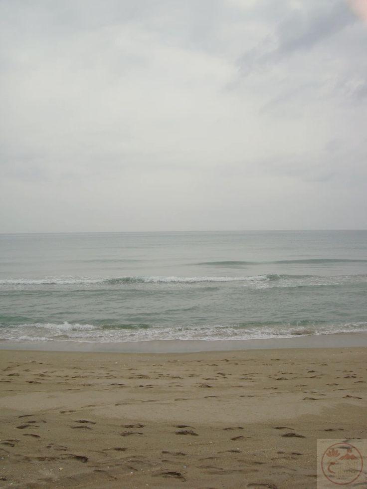 Hành trình cô tịch khiến ta nhận ra sự mong manh của cảm xúc