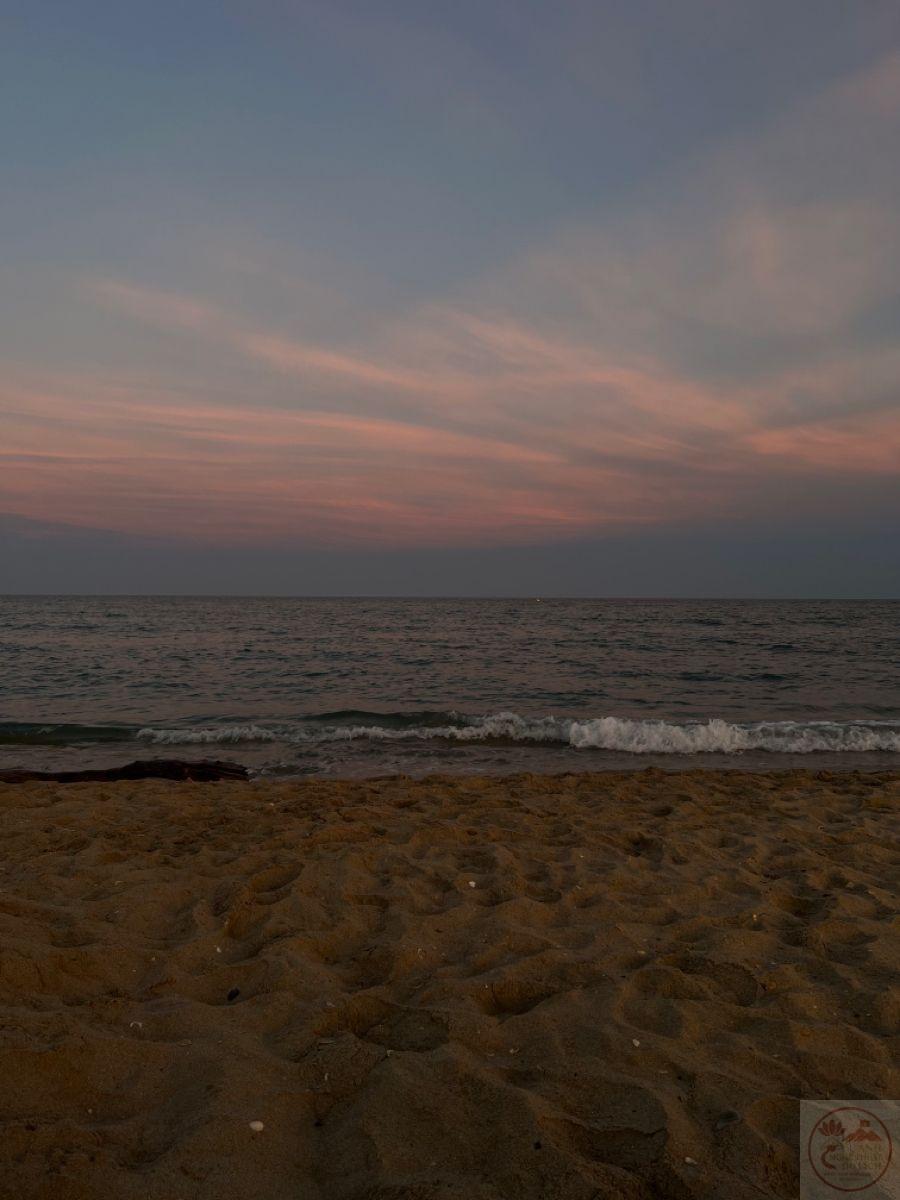 Không gian im lìm cho phép tâm trí dừng lại giữa những bộn bề