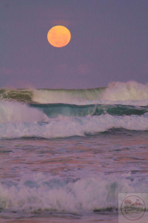 Âm hưởng nhẹ nhàng mang đến sự thư giãn trong từng nhịp thở