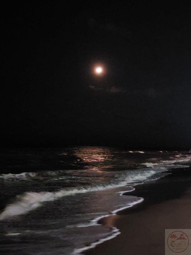 Đôi khi sự tĩnh lặng lại là món quà quý giá nhất cho tinh thần