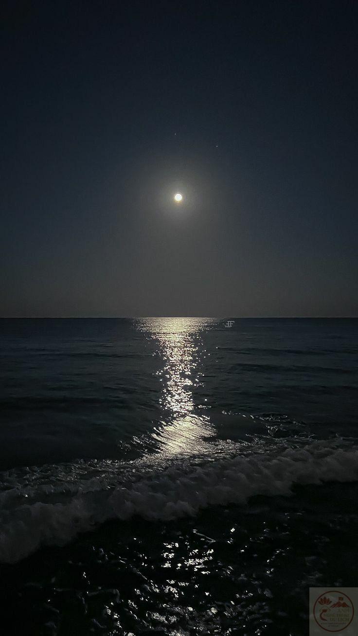 Khoảnh khắc yên tĩnh giúp tinh thần nhẹ nhõm sau một ngày dài