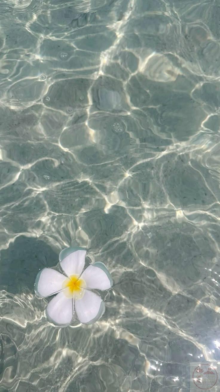 Ảnh nền biển chill