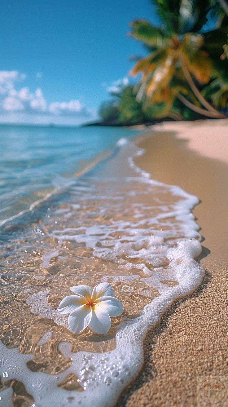 Đôi lúc sự thư thái đến bất chợt khiến ta thấy đời thật nhẹ nhõm