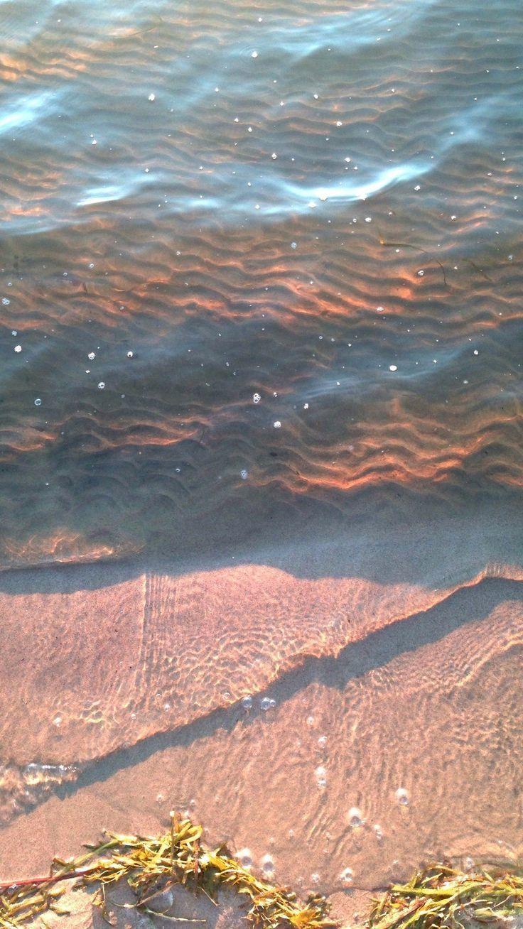 Giữa đời thường vội vã, chút lặng im trở thành điều quý giá nhất