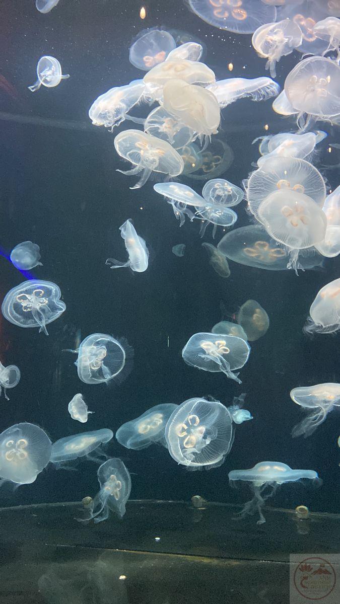 Trong chiều sâu tĩnh mịch, ta lại thấy mình rõ ràng hơn bao giờ hết