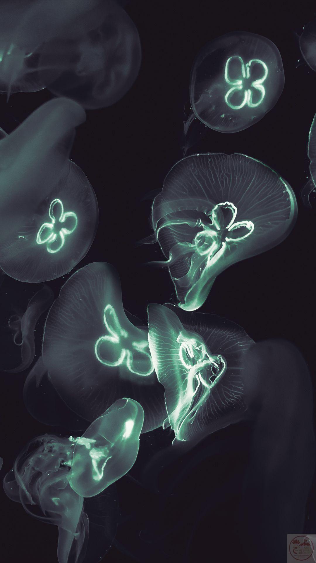 Có lẽ điều quý nhất chính là sự bình thản giữa muôn điều biến động