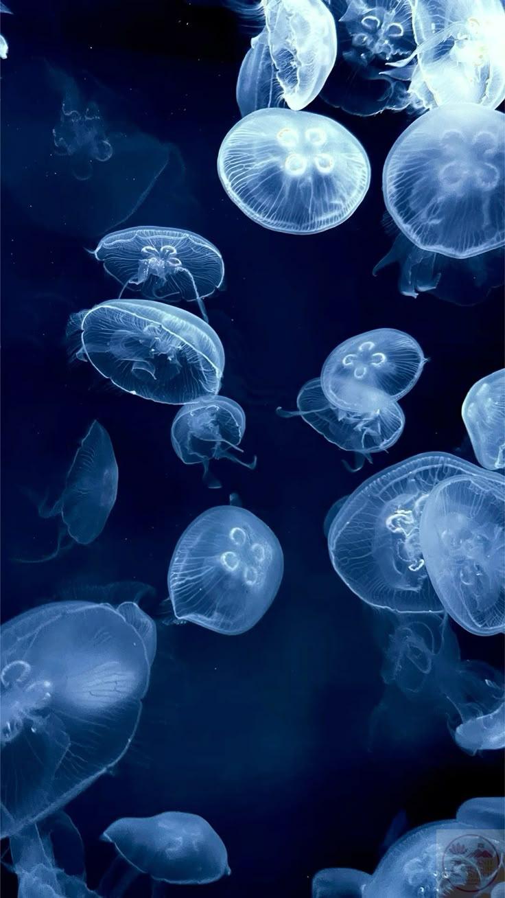 Có những ngày chỉ cần thở chậm cũng đủ làm nhẹ gánh nặng trong lòng